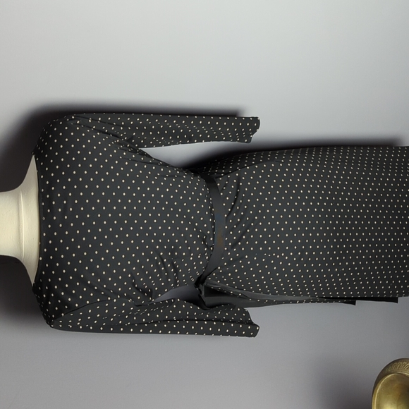 Ann Taylor LOFT polka dot wrap dress. Size 8P - Picture 4 of 8